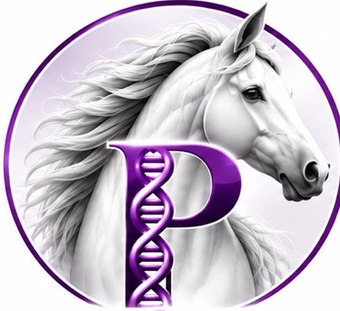 Pawgenix USA equine emblem